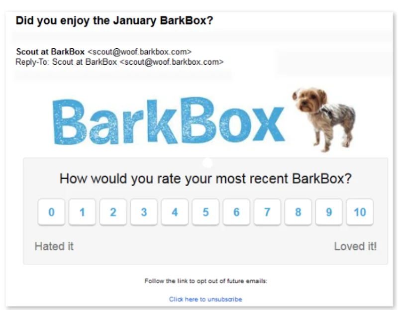 newsletter-ideas-to-grow-your-business-barkbox