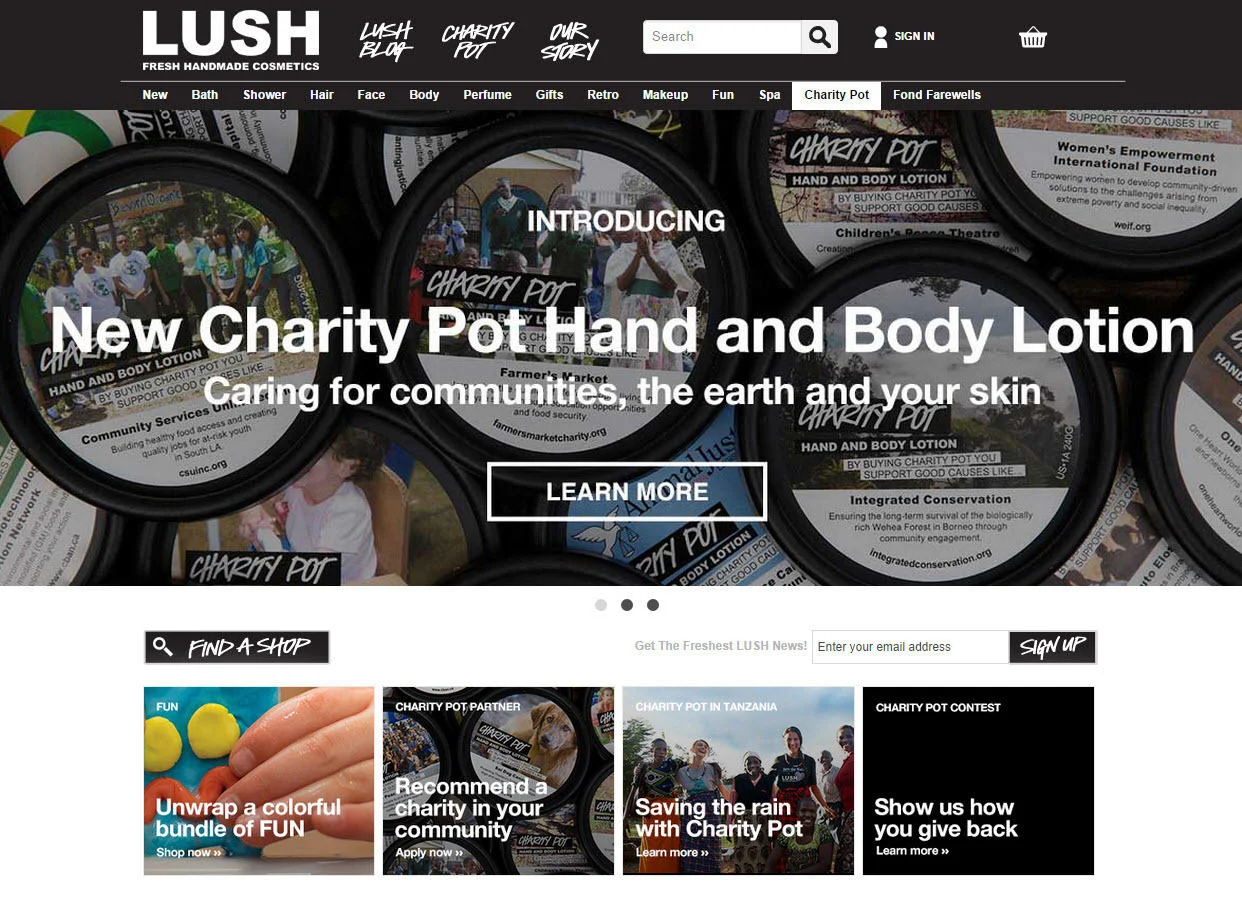 Psychographics in marketing Lush cosmetics brand values