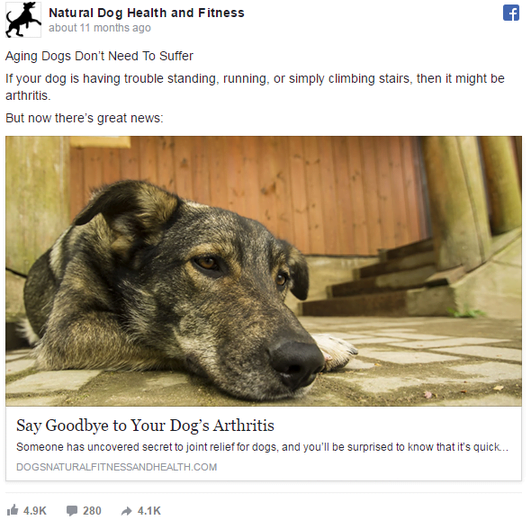 Psychology of Facebook ads dog ad example