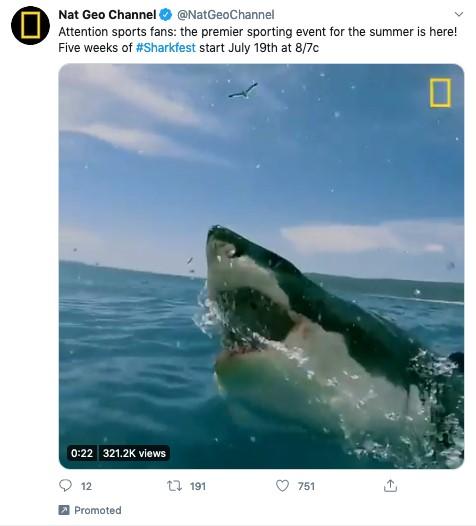 social media video marketing example from Twitter