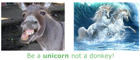 be a ppc unicorn