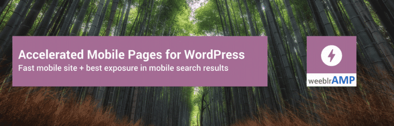 what is google AMP weeblr AMP
