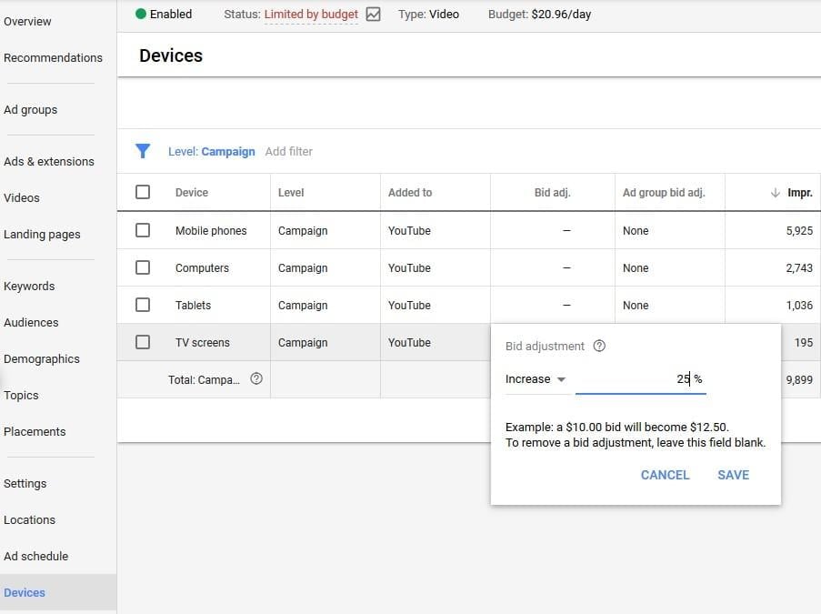 YouTube ad TV placement device bid options