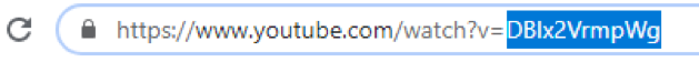 youtube display ads—video id example
