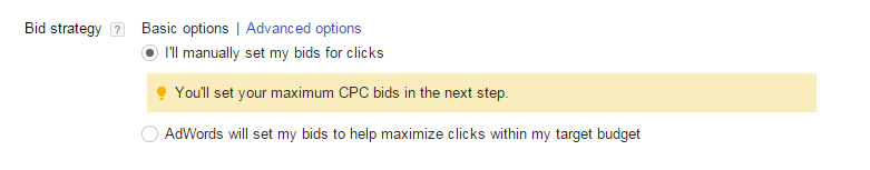 AdWords bidding options