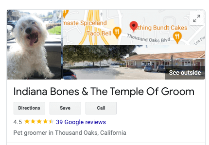 funny business name ideas: indiana bones temple of groom