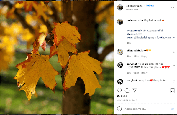instagram post with fall hashtag #everythingisdyingimeanlookhowpretty