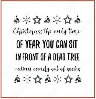 funny-christmas-instagram-captions-the-only-time-of-year