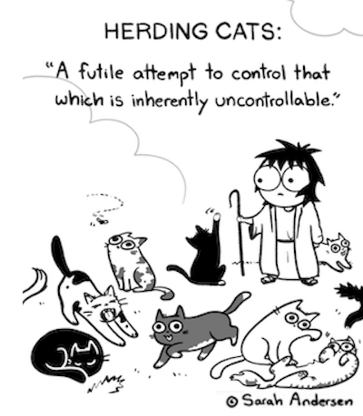 sarah anderson herding cats comic