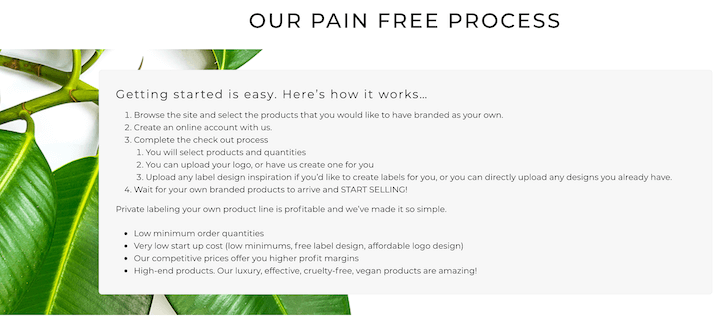 copywriting psychology - example of pain free process