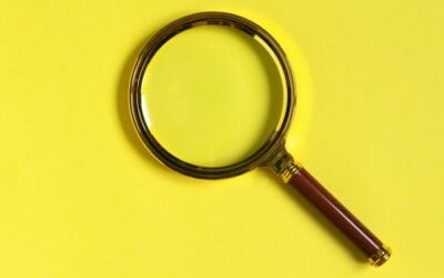 seo trends - magnifying glass