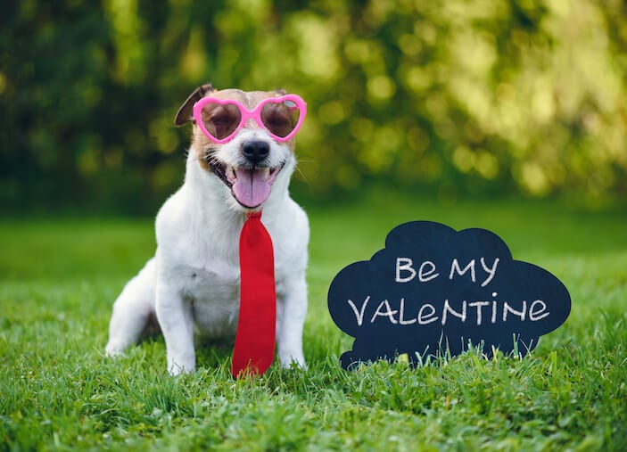 34 Creative Valentine’s Day Messages for Your Clients (with Email Templates!)