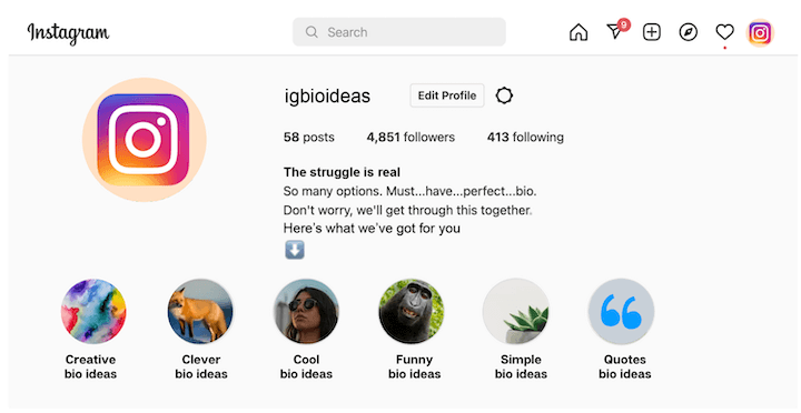 instagram bio ideas