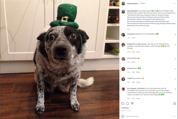 54 St. Patrick’s Day Instagram Captions (The Cliche-Free List)