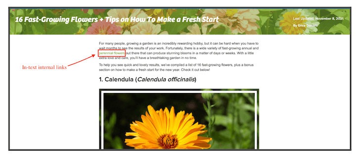 seo internal linking - in-text links