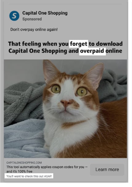 Emotional ad copy example - Facebook ad by capital one with a panicking cat