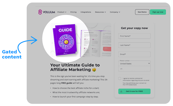 example of gated content - pdf guide from voluum