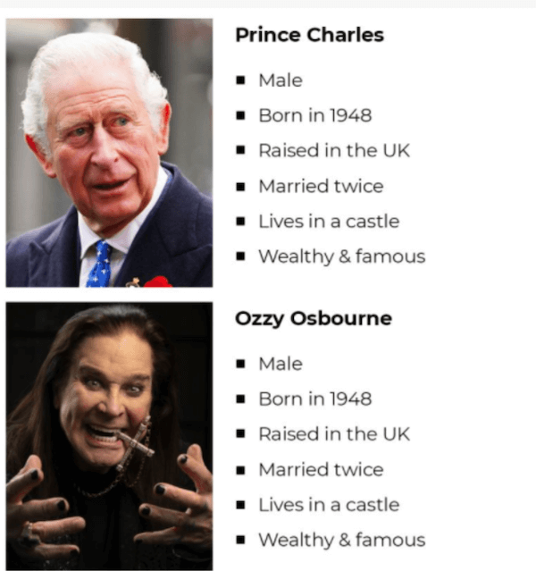 b2b sales tips - prince charleys and ozzy osbourne have the same demographic information