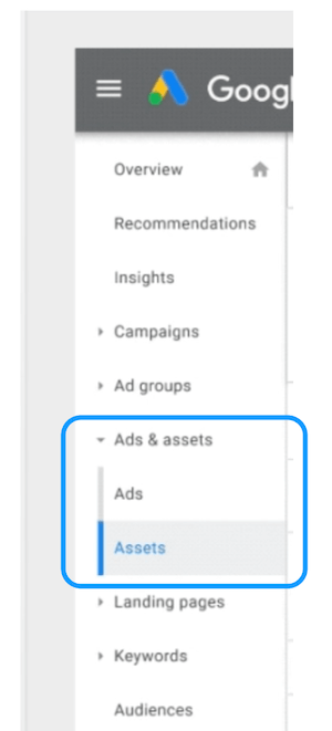 the google ads ads and assets tab