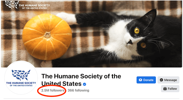 如何优化 Facebook 广告 - Humane Society 的 Facebook 页面与关注者数量