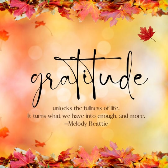 thanksgiving messages and phrases - gratitude quote