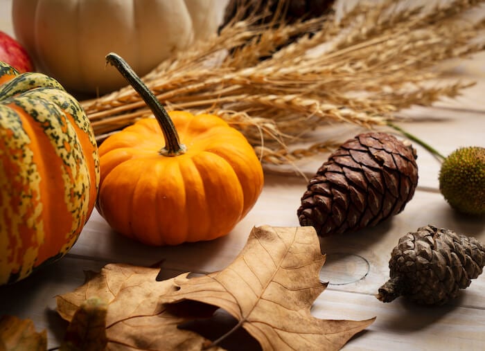 10 Tips for Having a Happy Thanksgiving 2023