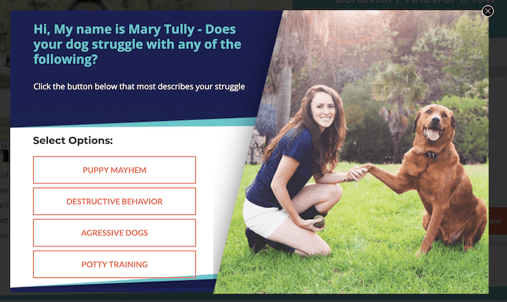 popup example by mary tally dog trainer