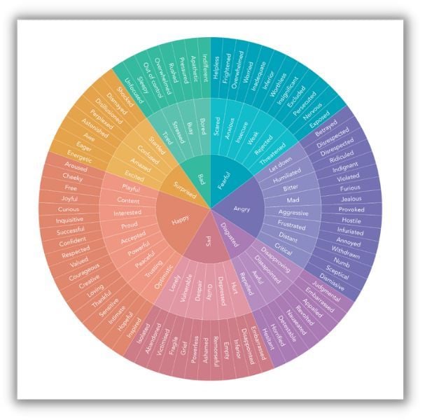 wheel that shows different emotions and words you can use to describe emotions in your vision statement