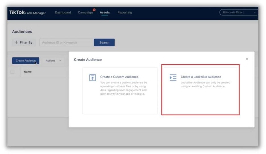 How to Use TikTok to Build Your Audience