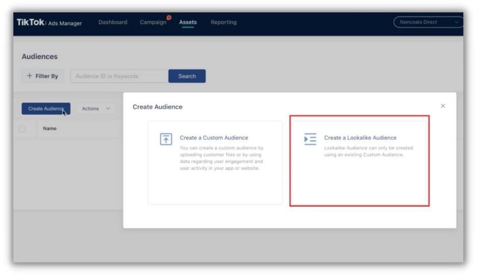 tiktok ads targeting - lookalike audiences