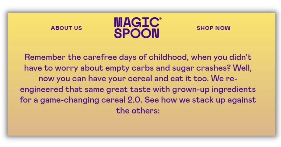 Executive summary example - Magic spoon about us page