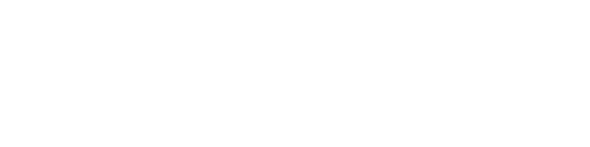 WS-Logo-Color-Reverse