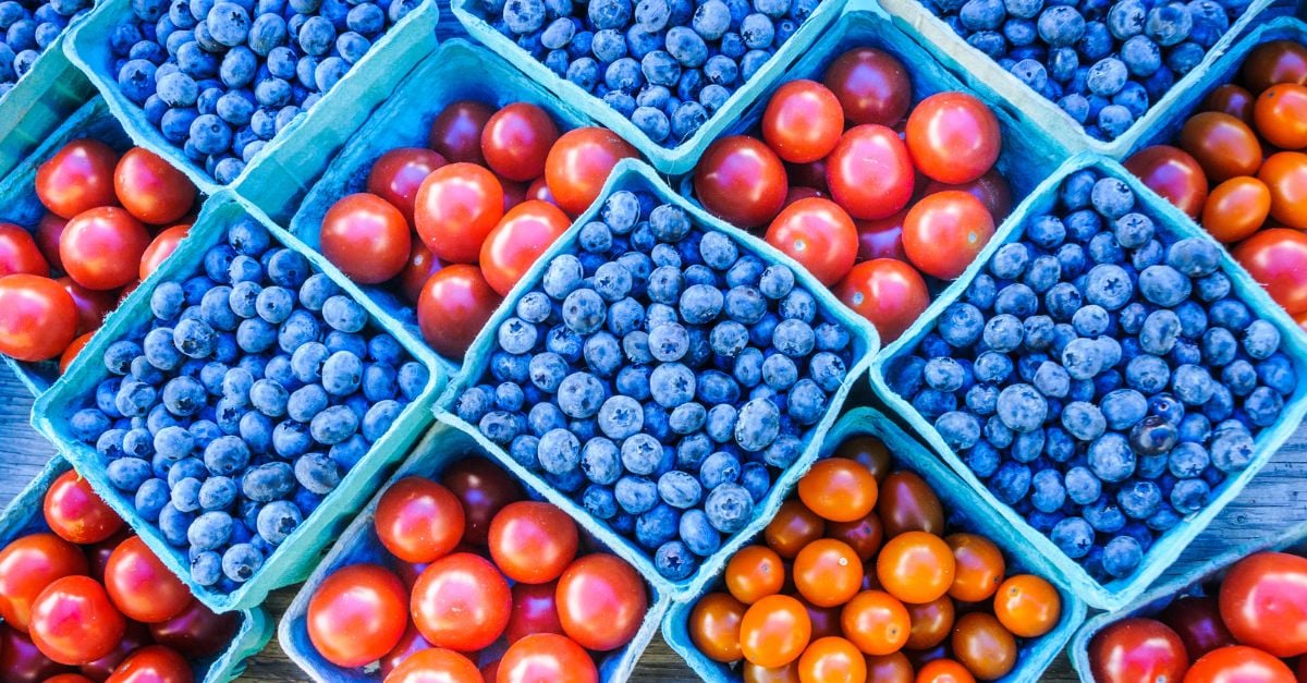 70+ Easy & Engaging August Marketing Ideas (with Examples)