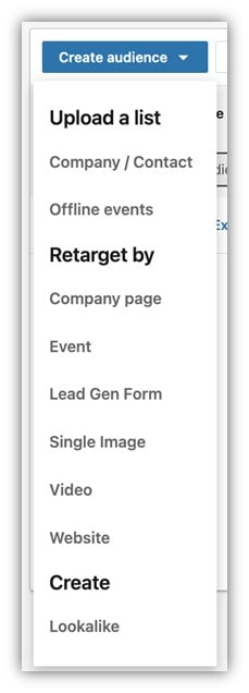 linkedin remarketing - screenshot of audience option list