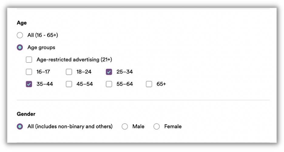spotify advertising - how to run spotify ads - choose age and gender of audience