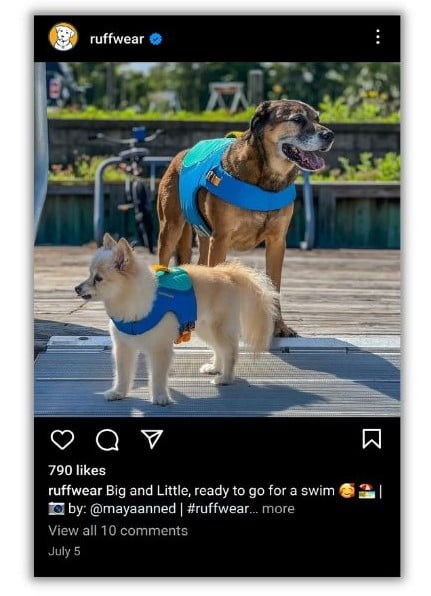 Instagram verify - screenshot of an Instagram post from Ruffwear