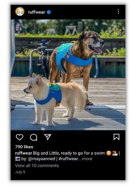 Верификация в Instagram — скриншот поста в Instagram от Ruffwear.