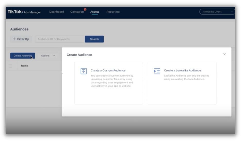 tiktok marketing - set up custom audience