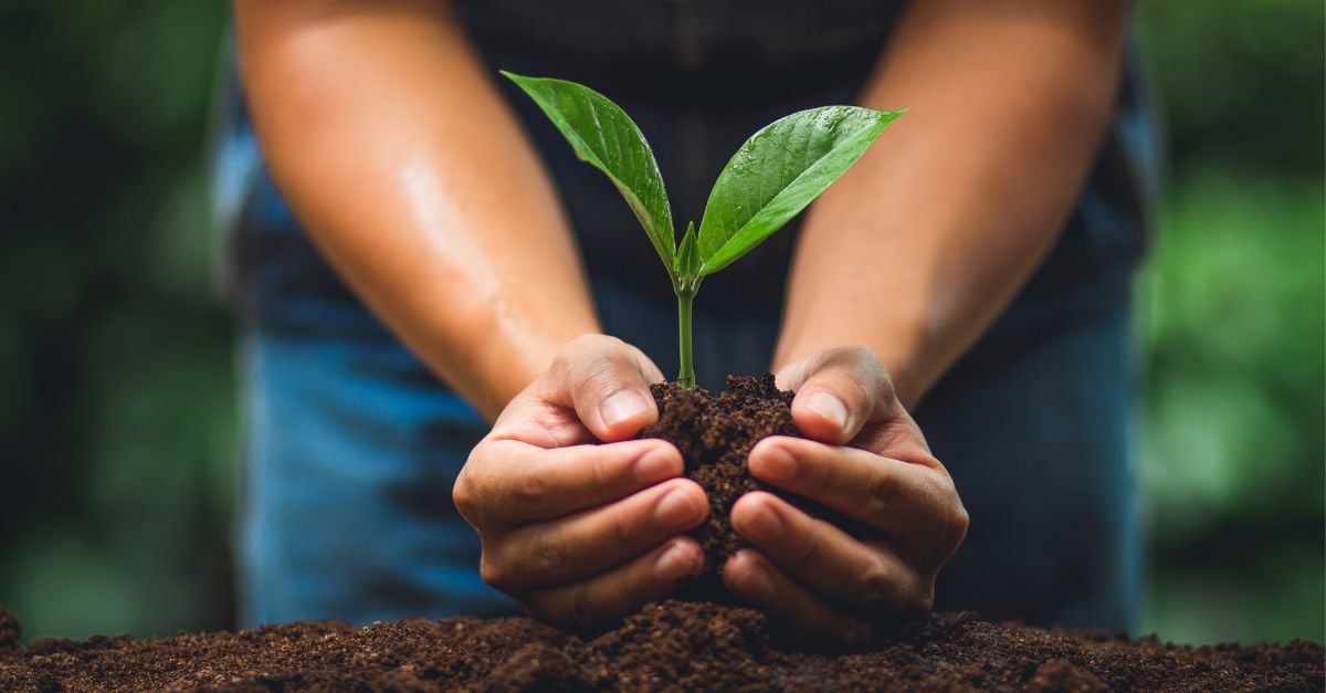 7 Unbeatable Lead Nurturing Strategies (+5 Examples to Follow) Thyposts