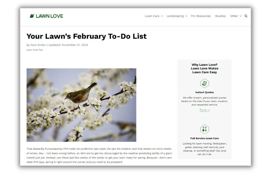 February blog ideas - blog post from lawn love