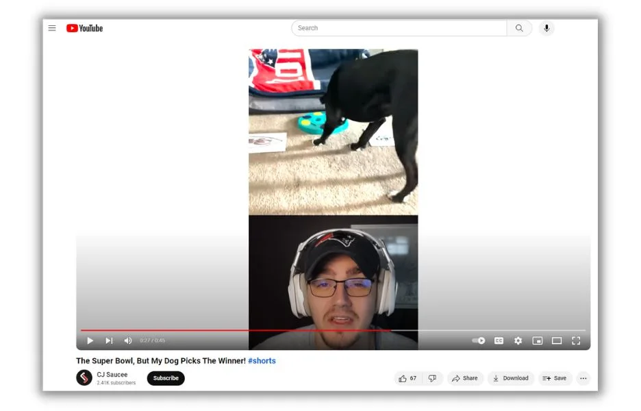 February blog ideas - Youtube video screenshot of a dog picking super bowl winer