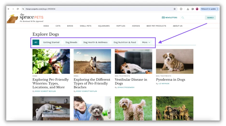 example of site that's built topical authority around dogs 