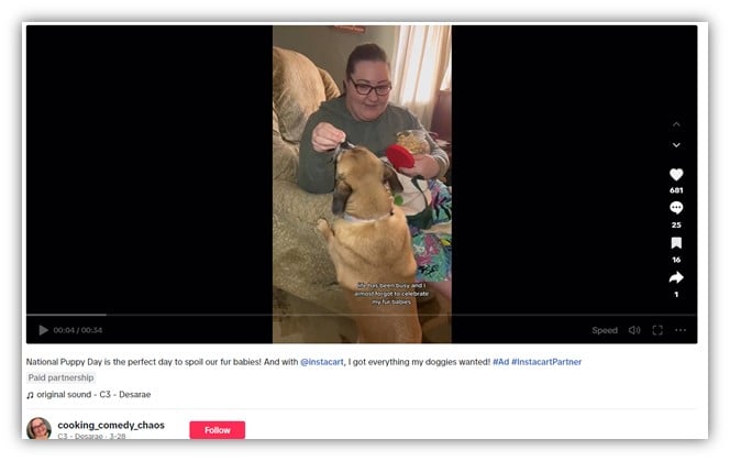 shoppable tiktok ads example