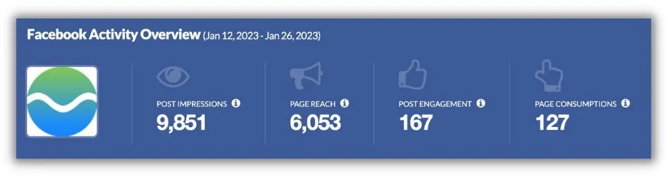 example of engagement data from business facebook page