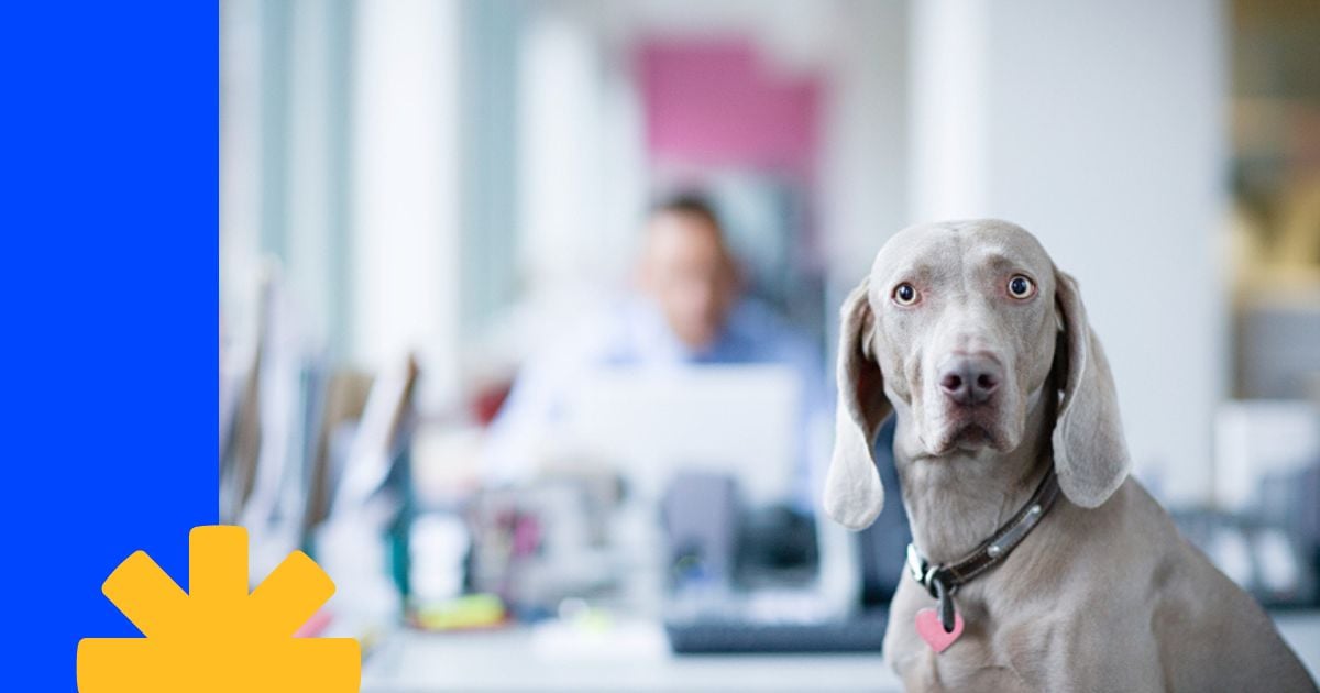 AI Overviews: Everything You Need to Know | WordStream