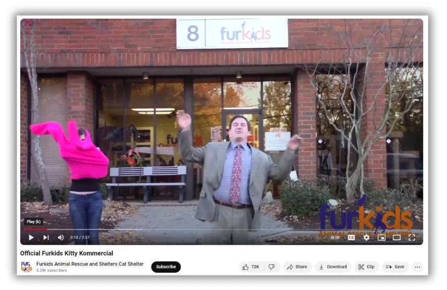 How to get organic traffic - screenshot of a YouTube video from an animal shelter.