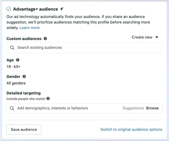 facebook ad targeting - advantage plus audience suggestion example