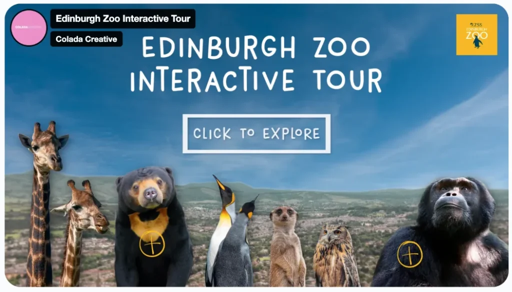 Interactive content - Video from the Edinburgh Zoo.