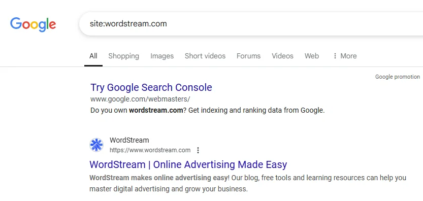 example of google site search for indexed website