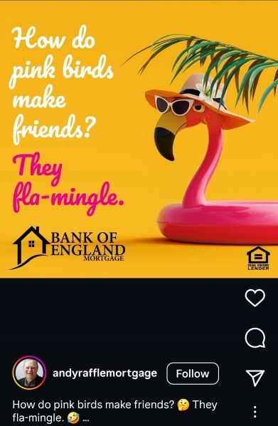 Summer puns - Instagram post with a flamingo pun.